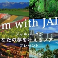 あなたの夢を叶えるツアーが当たるJALの高額懸賞！