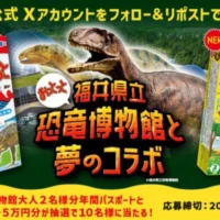 福井県立「恐竜博物館」の年パス& JTBギフト5万円分が当たる高額懸賞！