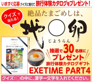 旅行体験カタログギフト（3万円相当）が30名に当たる高額懸賞！