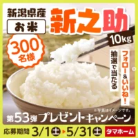 新潟県産のお米「新之助 10kg」が300名に当たる豪華懸賞！