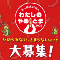 JTBトラベルギフト81,000円分などが当たる、かっぱえびせんの高額キャンペーン！