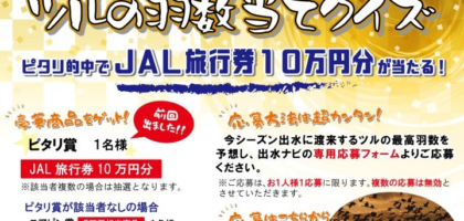 JAL旅行券や特産品セットが当たる、出水市のツルの羽数当て懸賞！