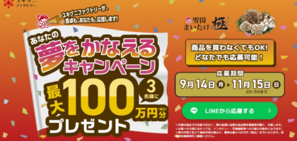 100万円分の自由な夢が叶う高額懸賞！