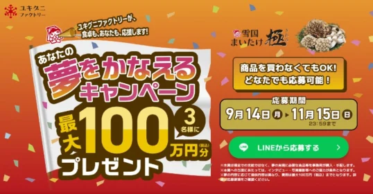 100万円分の自由な夢が叶う高額懸賞！
